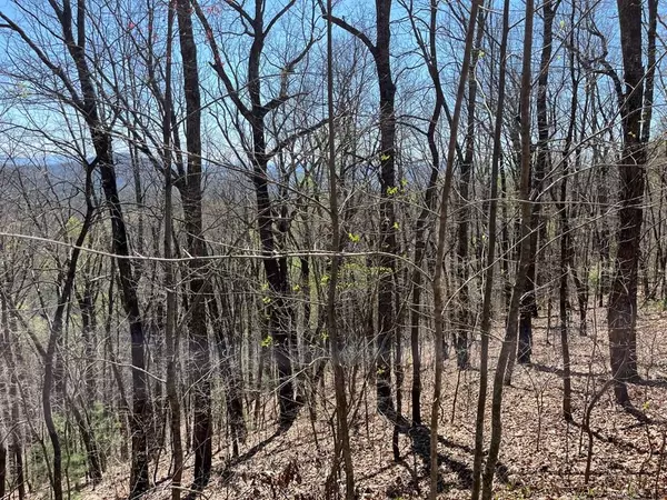 Lot 76 Turkey Pen Drive, Murphy, NC 28906