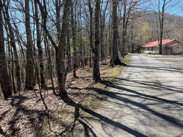 Lot 76 Turkey Pen Drive, Murphy, NC 28906