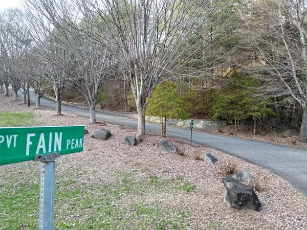 15.75 Fain Peak, Murphy, NC 28906