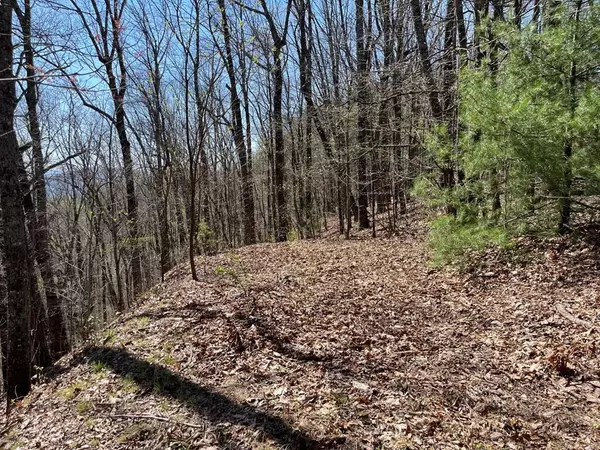 Lot 76 Turkey Pen Drive, Murphy, NC 28906