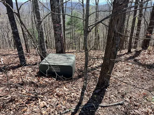 Lot 76 Turkey Pen Drive, Murphy, NC 28906