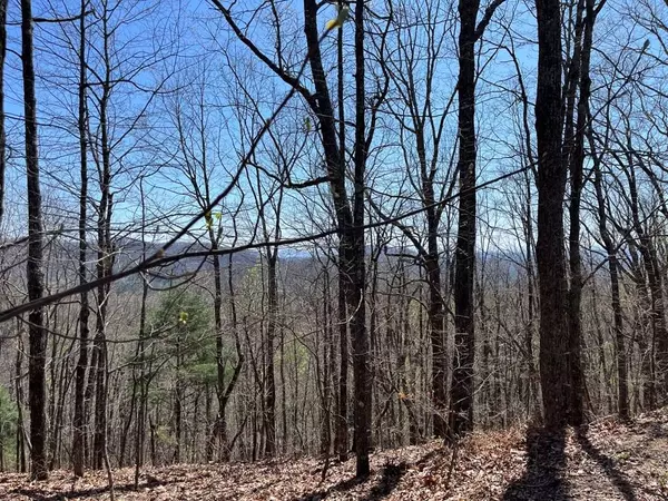 Lot 76 Turkey Pen Drive, Murphy, NC 28906