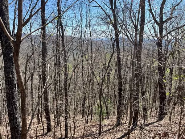 Lot 76 Turkey Pen Drive, Murphy, NC 28906