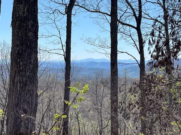 Lot 76 Turkey Pen Drive, Murphy, NC 28906