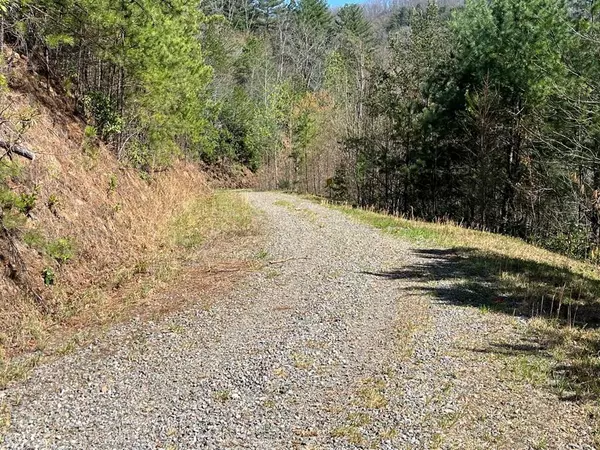 Lot 46 Kudzu Creek Trail, Murphy, NC 28906