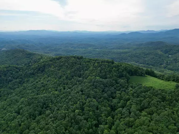 15.75 Fain Peak, Murphy, NC 28906