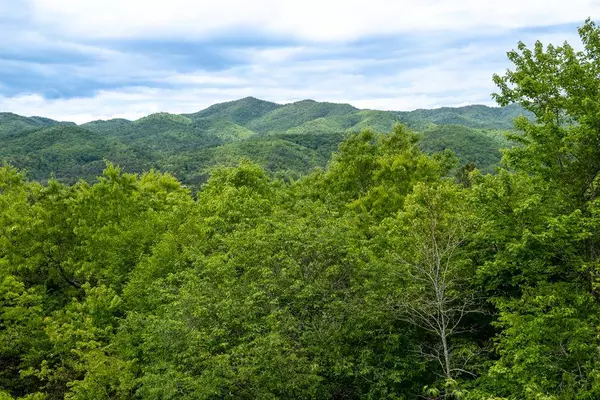 1311 Daylily Drive, Marble, NC 28905