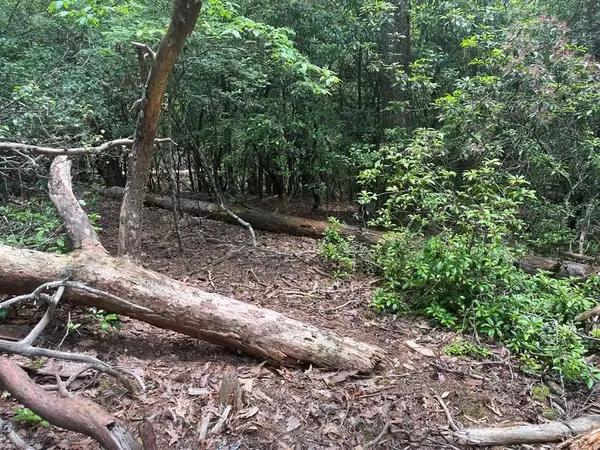 289 Paradise Park, Murphy, NC 28906