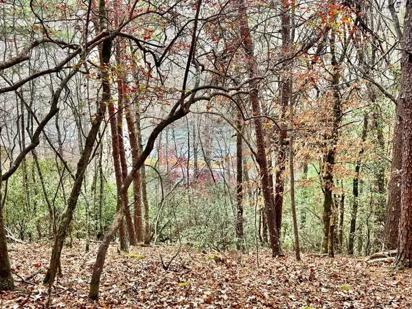 289 Paradise Park, Murphy, NC 28906