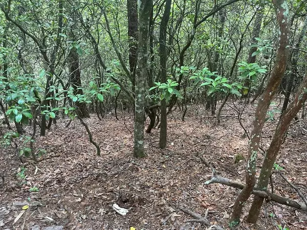 289 Paradise Park, Murphy, NC 28906