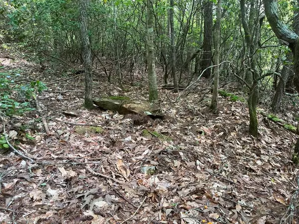 289 Paradise Park, Murphy, NC 28906