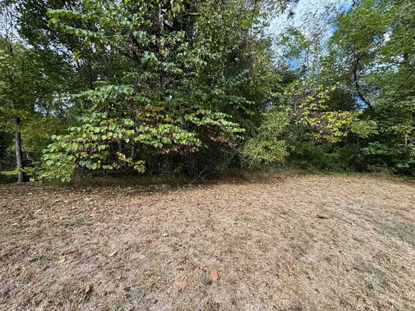 TBD Cherry Street, Murphy, NC 28906