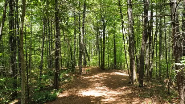 000 Ogreeta Road, Murphy, NC 28906