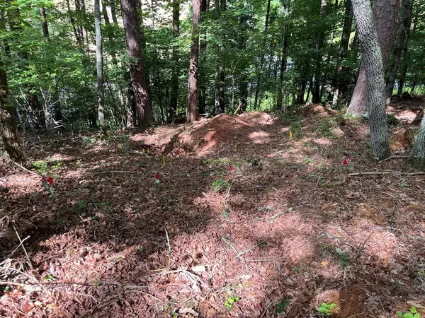 71 Martin Hills Drive, Murphy, NC 28906