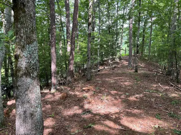 71 Martin Hills Drive, Murphy, NC 28906