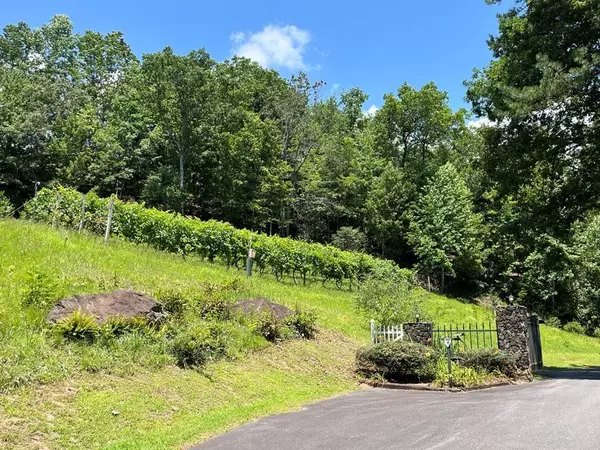 501 Clifftop Trail, Andrews, NC 28901