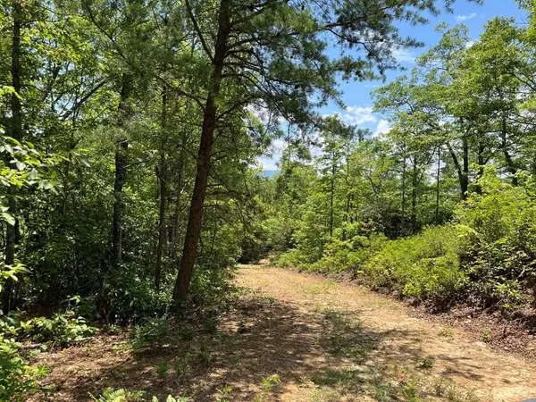 501 Clifftop Trail, Andrews, NC 28901