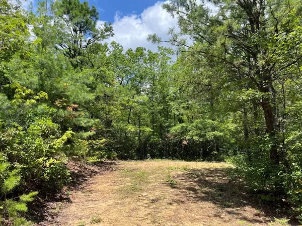 501 Clifftop Trail, Andrews, NC 28901