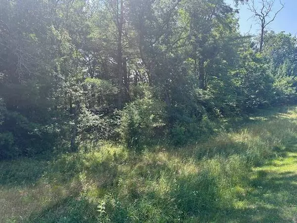 lot 13 W 19TH Lane, Arkdale, WI 54613