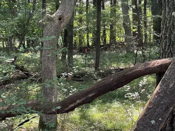 lot 13 W 19TH Lane, Arkdale, WI 54613