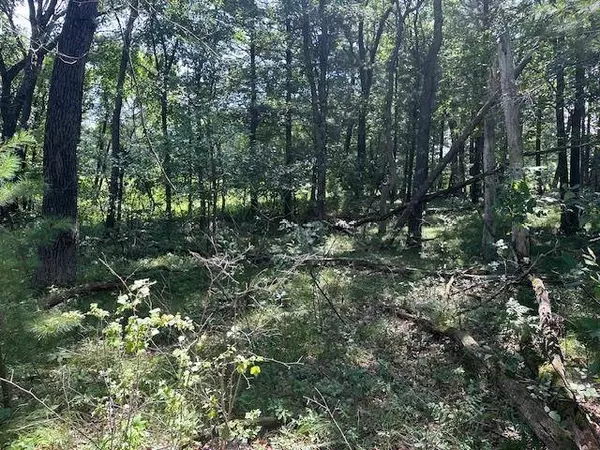 lot 13 W 19TH Lane, Arkdale, WI 54613