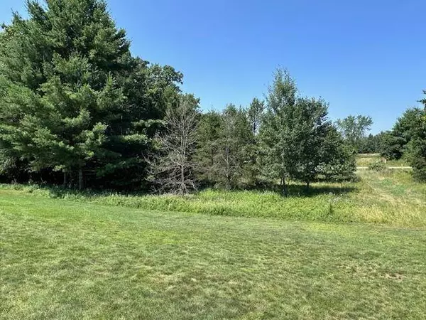 lot 13 W 19TH Lane, Arkdale, WI 54613