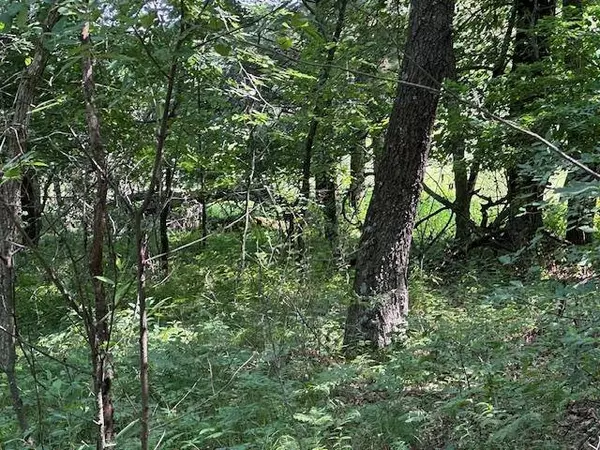 lot 13 W 19TH Lane, Arkdale, WI 54613