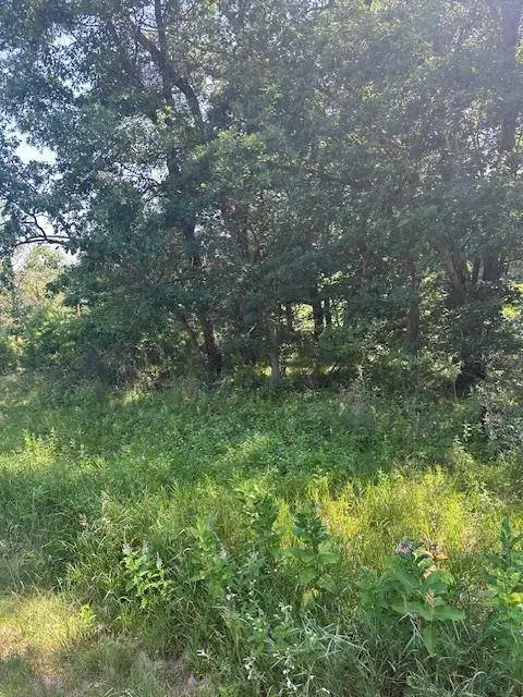 lot 13 W 19TH Lane, Arkdale, WI 54613