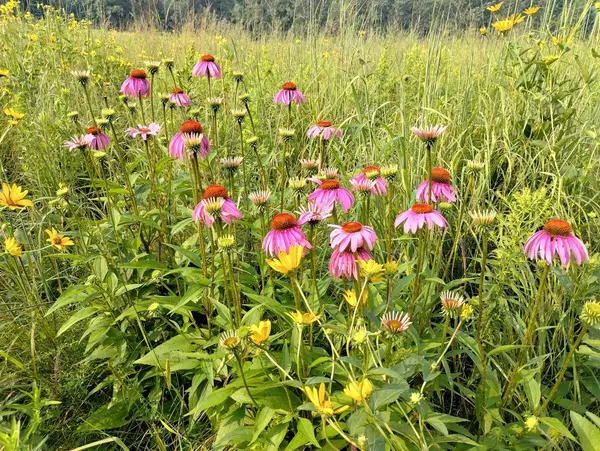 25024 Norhardt AVENUE, Ontario, WI 54651