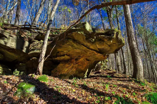 25024 Norhardt AVENUE, Ontario, WI 54651