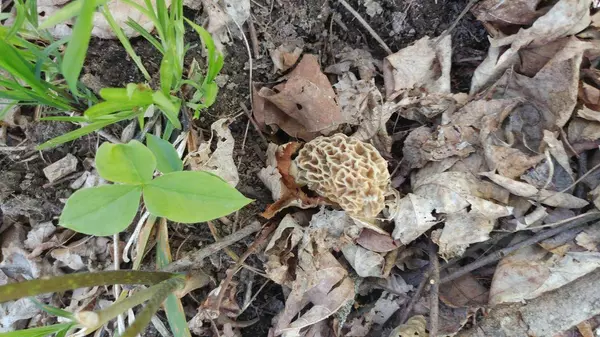 25024 Norhardt AVENUE, Ontario, WI 54651