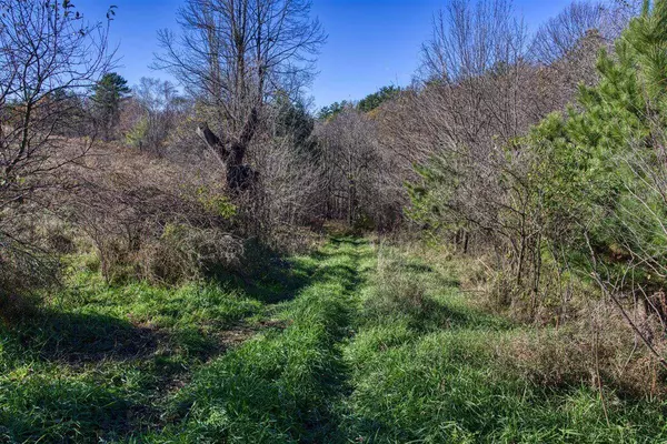 25024 Norhardt AVENUE, Ontario, WI 54651