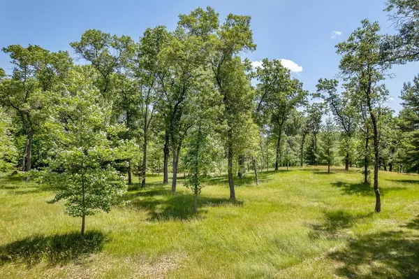 893 Fur Avenue, Wisconsin Dells, WI 53965