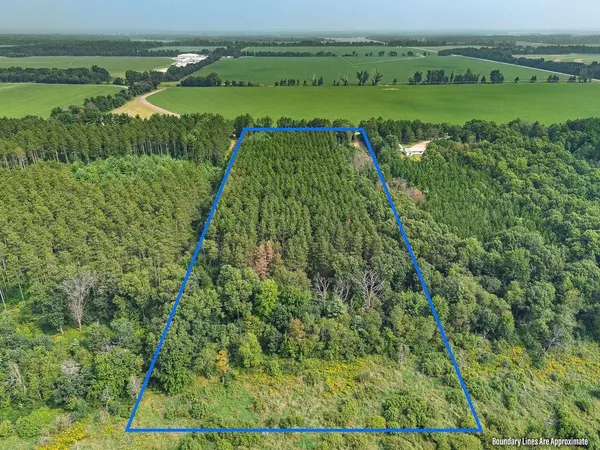 231 Cottonville Lane, Coloma, WI 54930