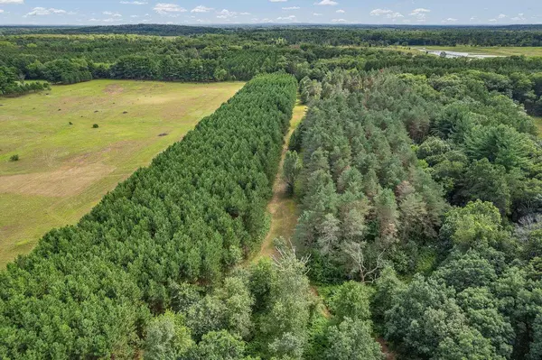 41.95 +/- Acres County Road Y, Montello, WI 53949