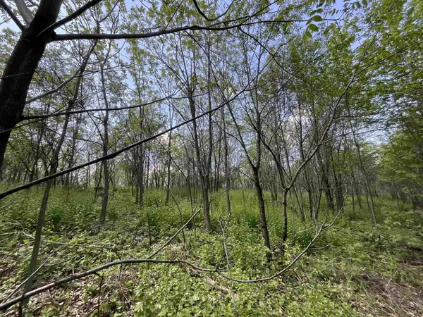 Lot 22 Fur Lane, Oxford, WI 53952