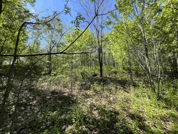 Lot 22 Fur Lane, Oxford, WI 53952