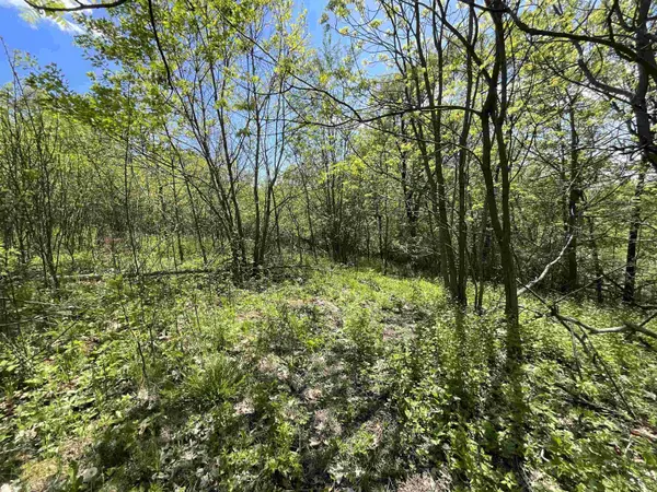 Lot 22 Fur Lane, Oxford, WI 53952