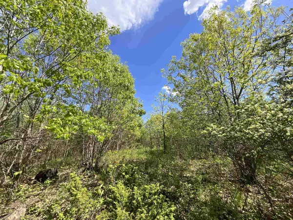 Lot 22 Fur Lane, Oxford, WI 53952