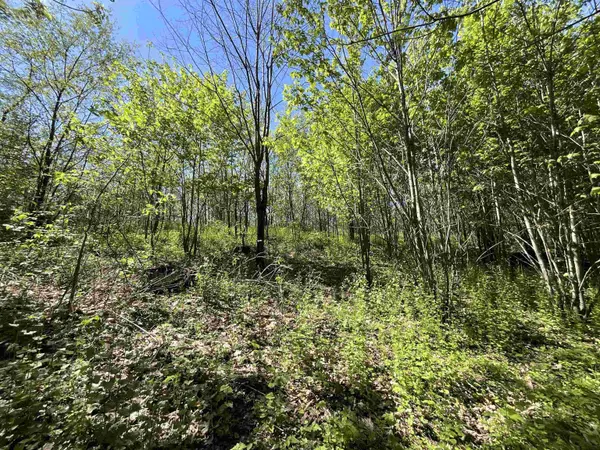 Lot 22 Fur Lane, Oxford, WI 53952