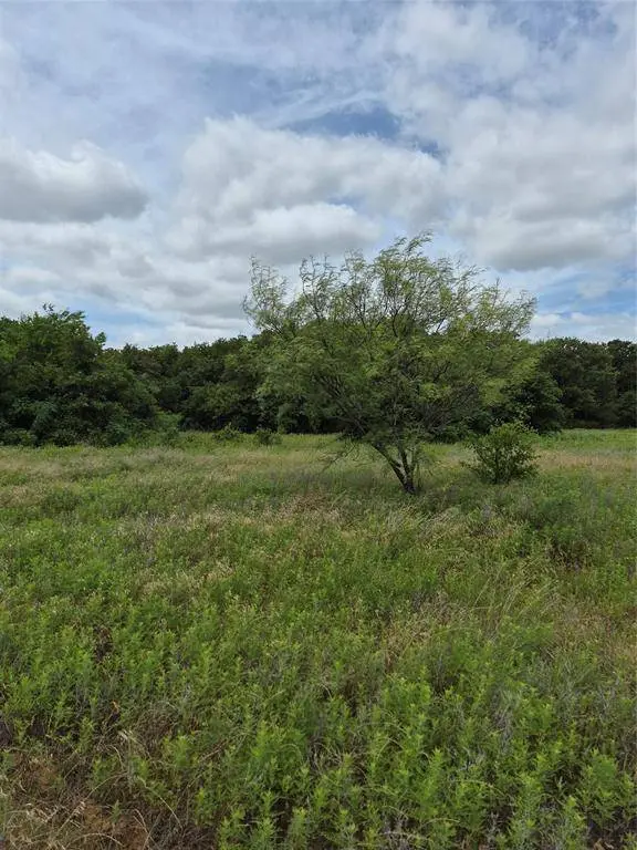 TBD FM 175, Henrietta, TX 76365