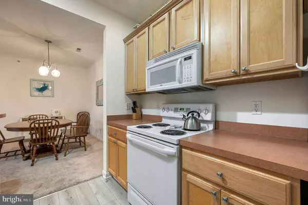 17063 S BRANDT ST #4306, Lewes, DE 19958