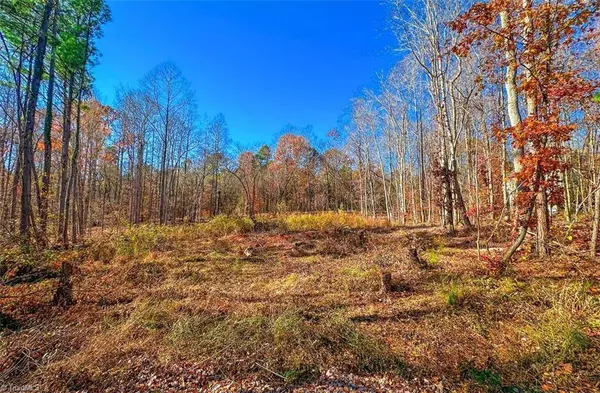 170 Hash LN, Summerfield, NC 27358