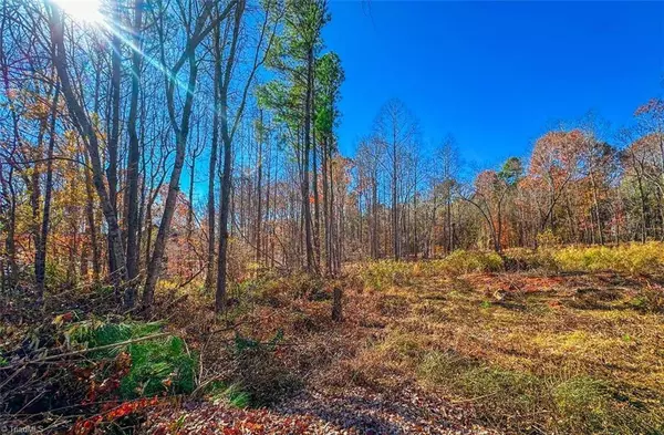 170 Hash LN, Summerfield, NC 27358