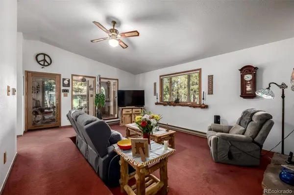 13202 Riley Peak RD, Conifer, CO 80433