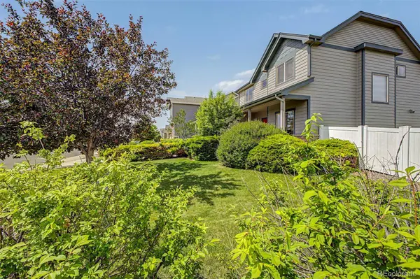 652 Sundance DR, Windsor, CO 80550