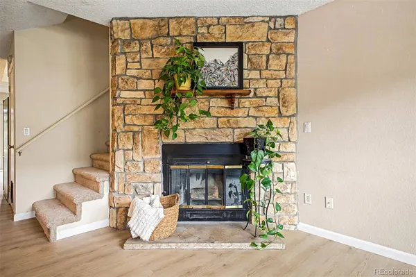 10869 Bayfield WAY, Parker, CO 80138