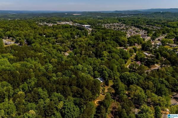 1050 CHATEAU DRIVE, Helena, AL 35080