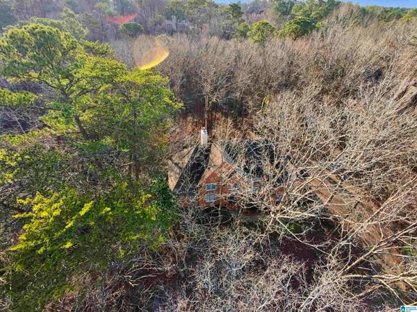 4005 FAIRCHASE LANE, Hoover, AL 35244