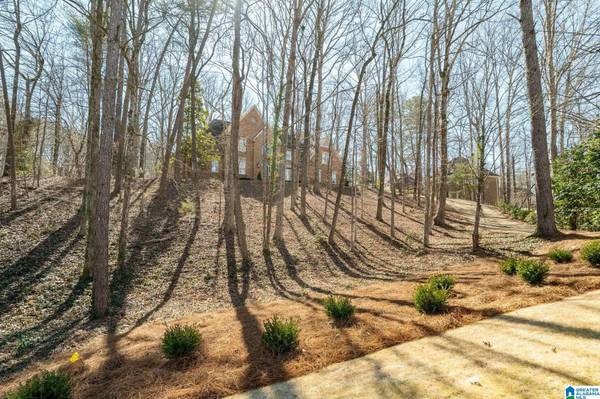 4005 FAIRCHASE LANE, Hoover, AL 35244